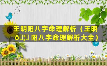 王明阳八字命理解析（王明 🦅 阳八字命理解析大全）